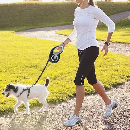 Laisse rétractable pour chien - 4,9 m nylon résistant - Poignée ergonomique antidérapante - noir - Living123 - Image 4