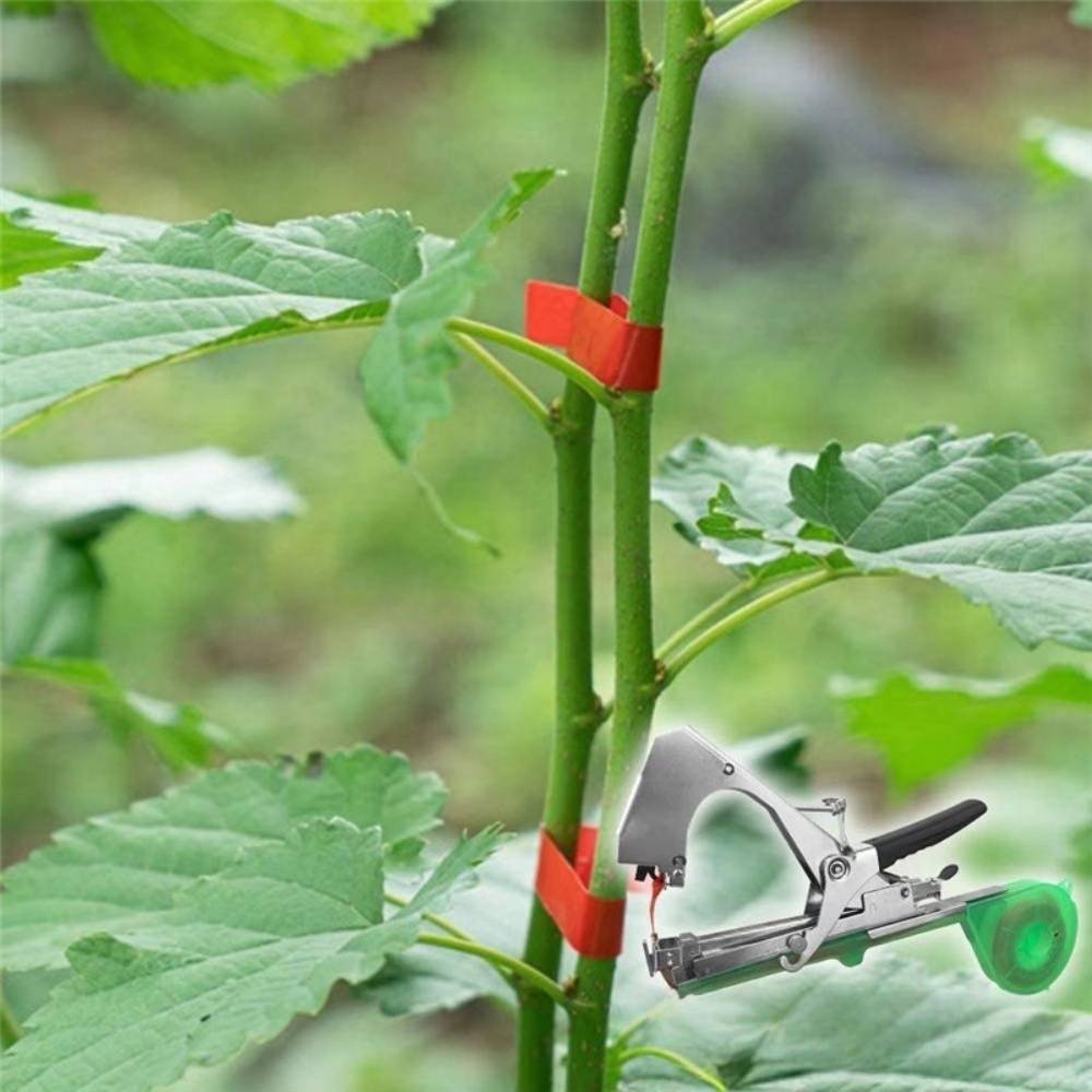 Attache - Plantes et Branches en Acier Inoxydable - IntiMeg - Image 5