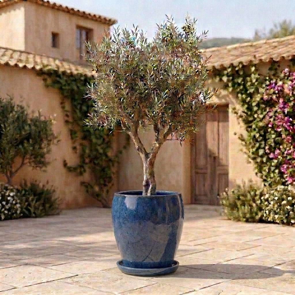 Provencelia - Soucoupe 35cm bleu antique faite à la main en terre cuite émaillée - Image 4