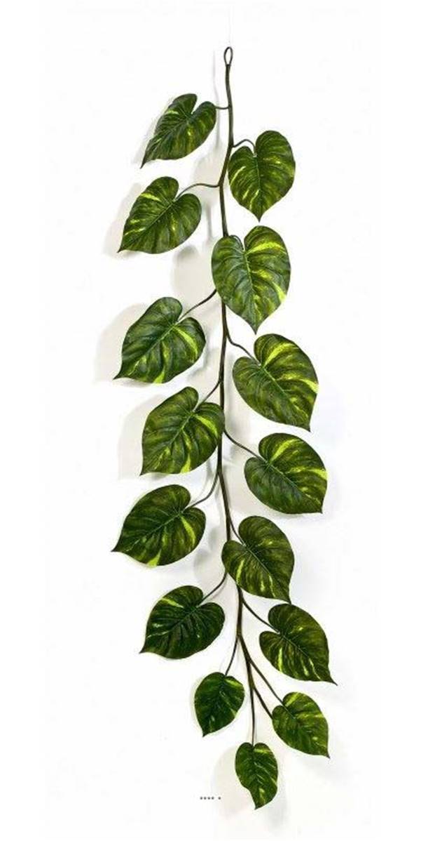 Artificielles - Guirlande de feuilles de pothos H 230 cm largeur 70 cm - Imagen 2