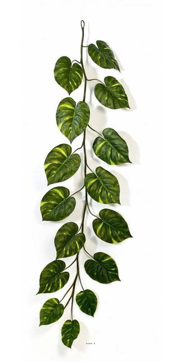Artificielles - Guirlande de feuilles de pothos H 230 cm largeur 70 cm - Imagen 1