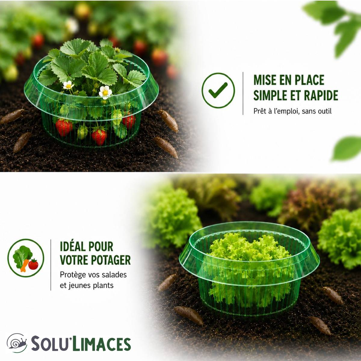 SOLU'LIMACES -1 Cloche Barrière Limaces et Escargots – Protection Physique Réutilisable pour Salades, Fraisiers, Choux – Ø23cm - Image 5