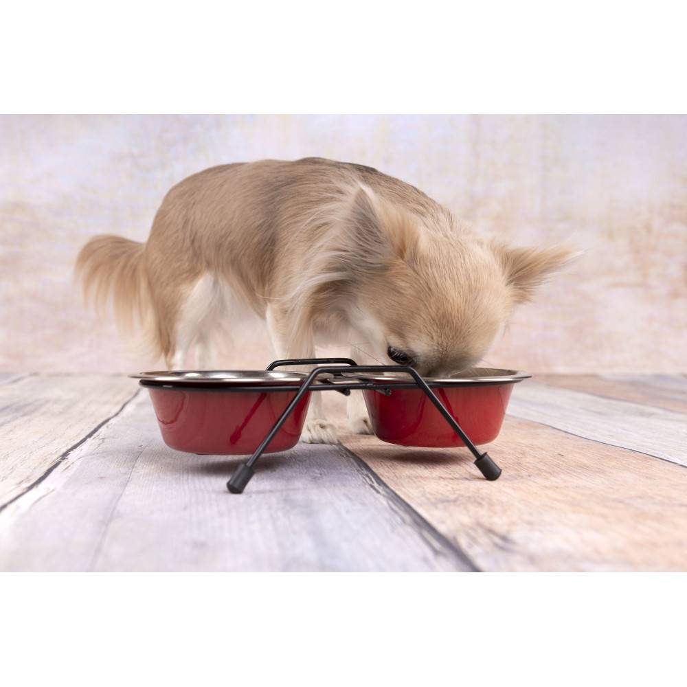 Ecuelle duo ø 16 cm. 800 ml. avec support Arjun. M . pour chien - Imagen 6
