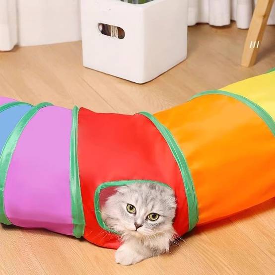 Tunnel de jeu pour animaux de compagnie DtopbuyAge - Image 5