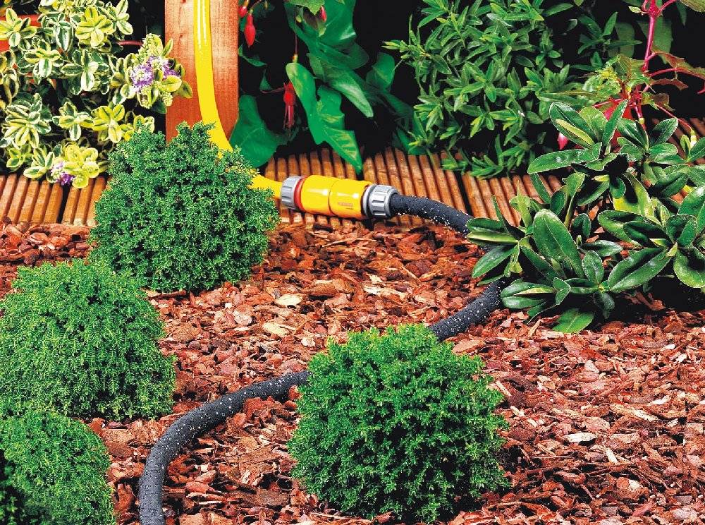 Hozelock - Tuyau poreux pour arroser des jeunes plantes, des haies et des jardins potagers 13mm - 10m HOZELOCK - Imagen 2