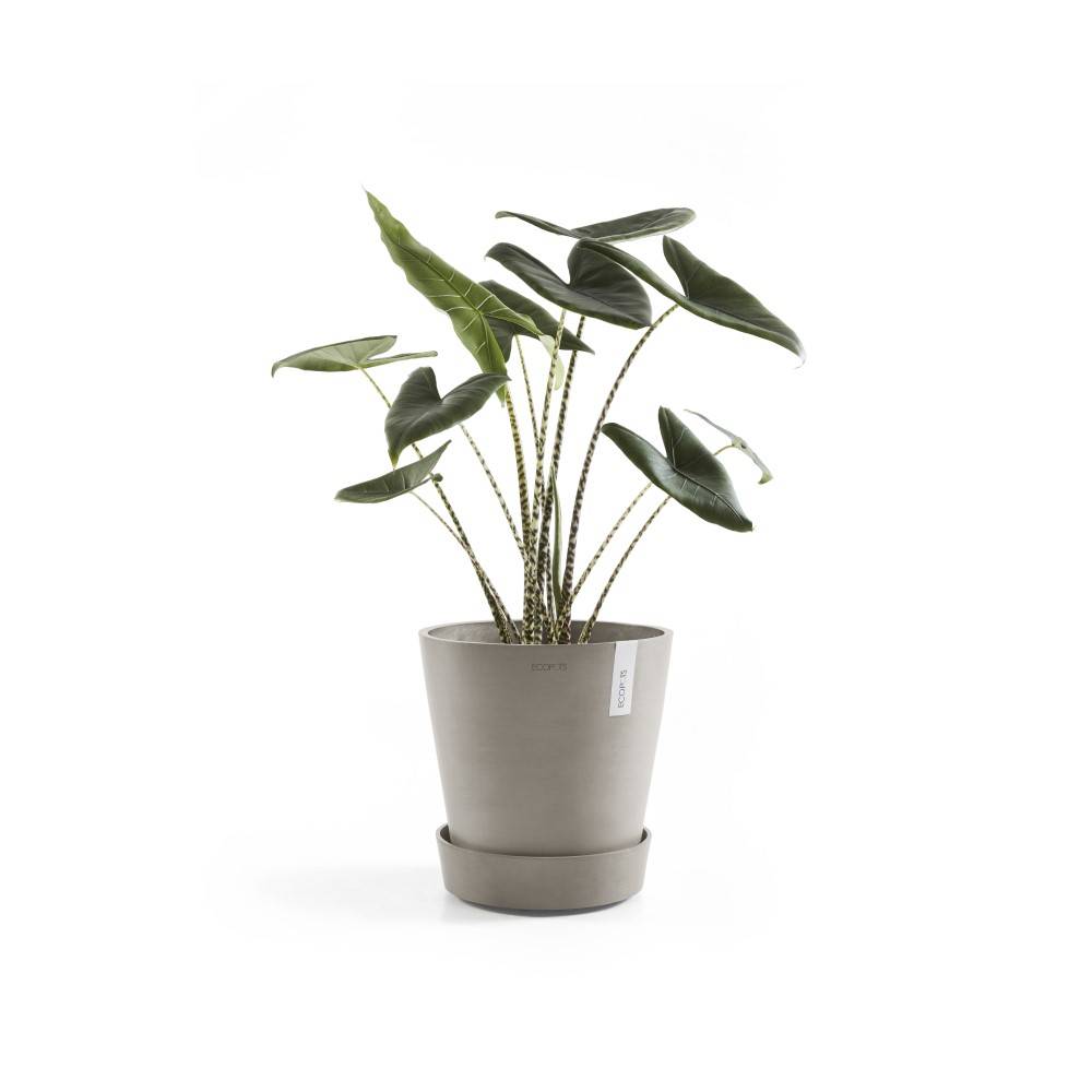 Ecopots - Support à roulettes Wheels 60 Taupe - Ø 51 x H. 12,4 cm ECOPOTS - Imagen 2