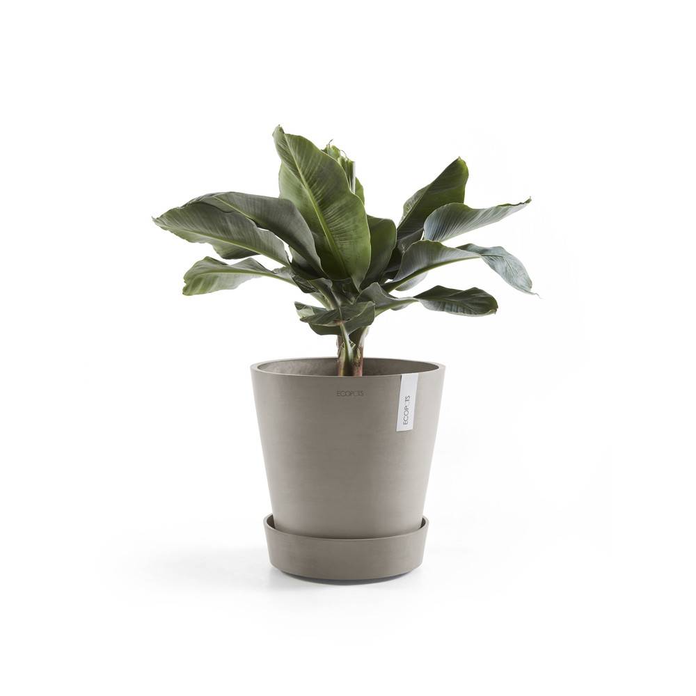 Ecopots - Support à roulettes Wheels 60 Taupe - Ø 51 x H. 12,4 cm ECOPOTS - Imagen 3
