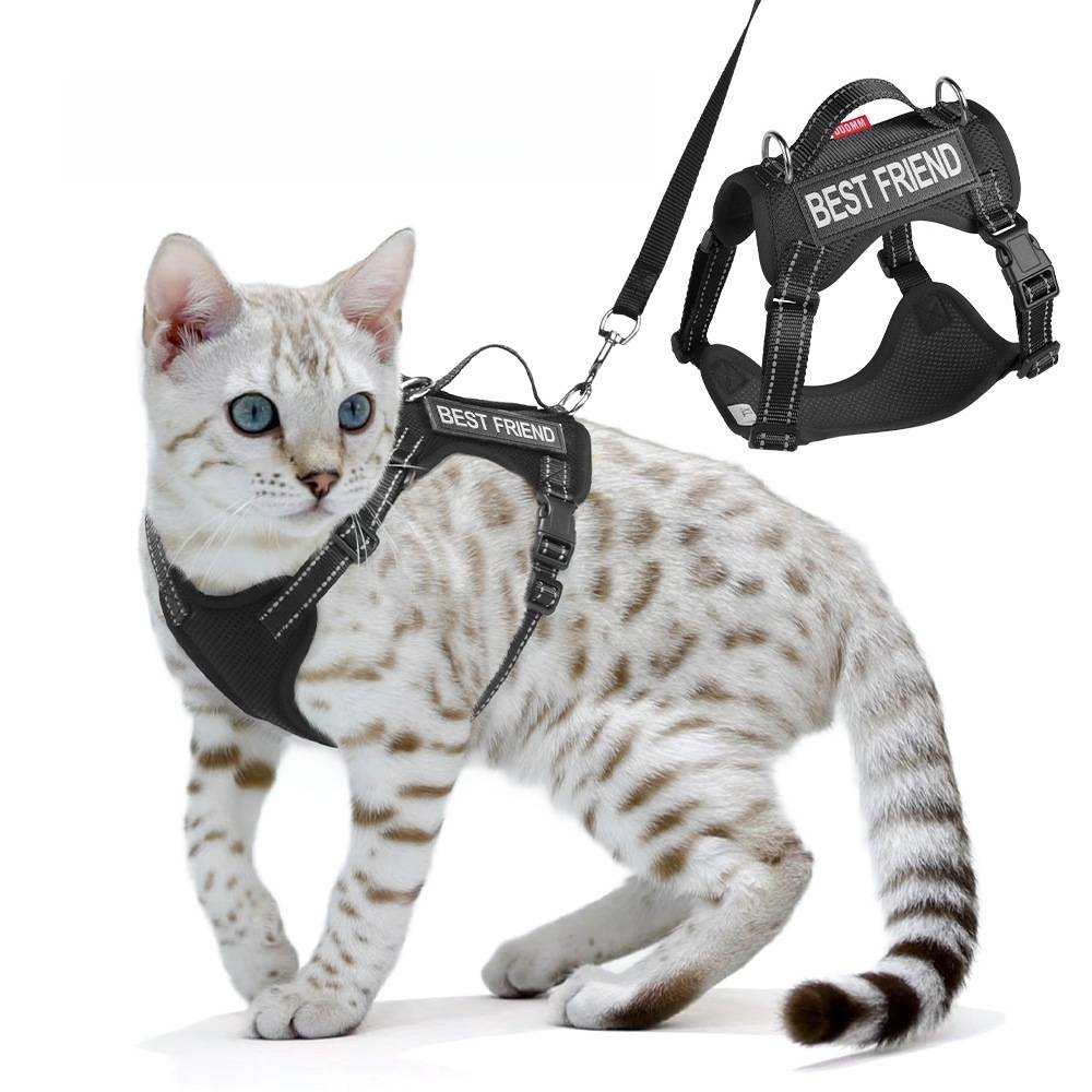 IntiMeg - Harnois de promenade pour chat s - IntiMeg - Image 3