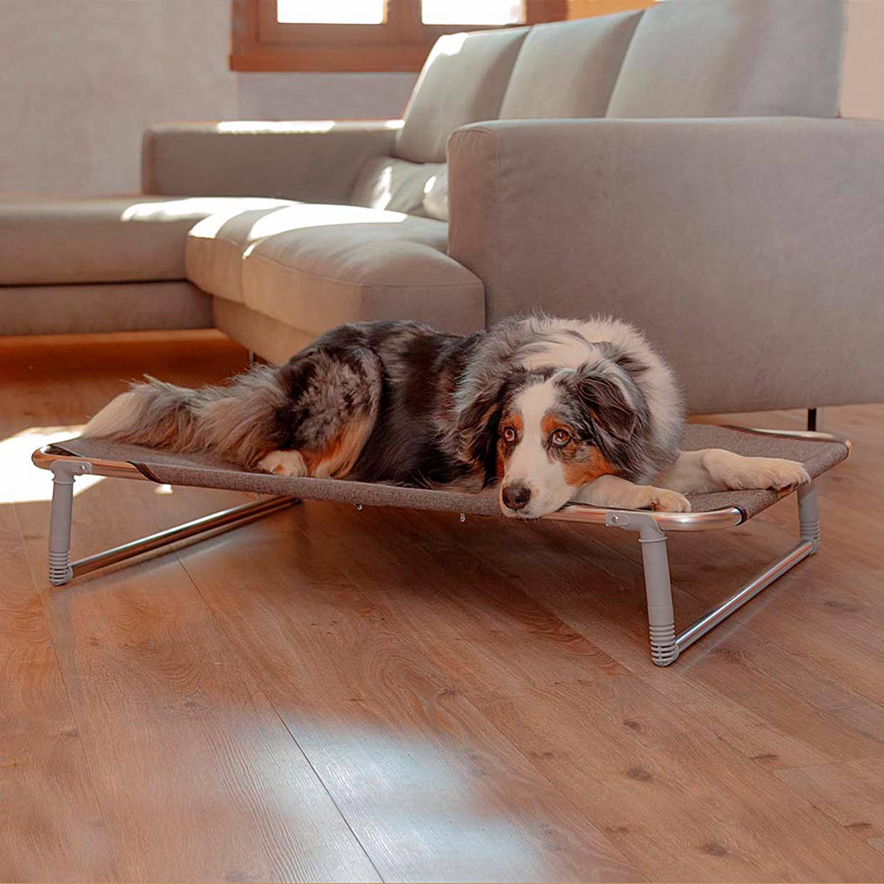 Ferplast - Ferplast Lit pliable pour chiens DREAM 100, avec structure solide en aluminium avec élastiques renforcés, toile en tissu, 105 x 63 x h 18 cm Taupe - Imagen 4