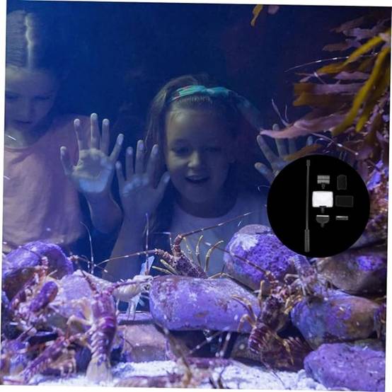 Ensemble Outils Nettoyage Aquarium Polyvalent - Image 3