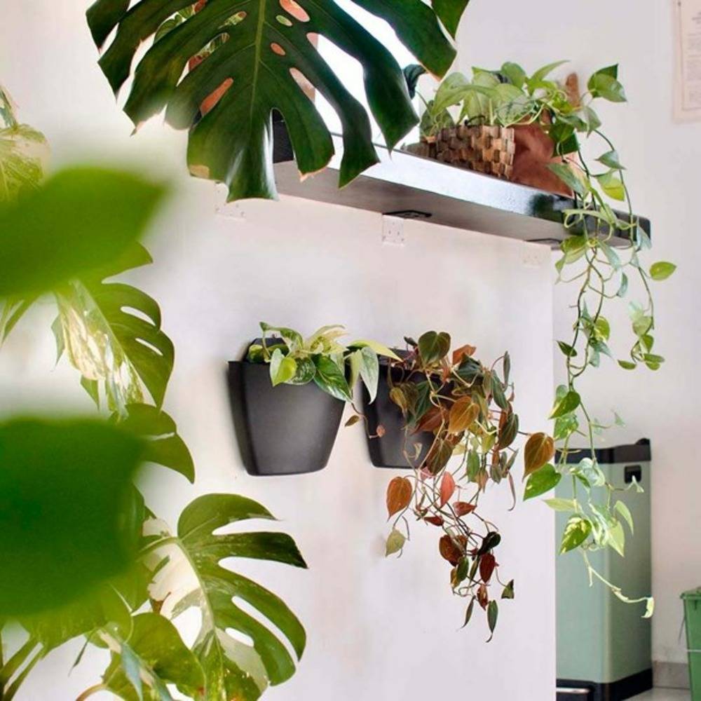 Pack de 3 pots muraux CitySens noirs avec arrosage automatique. - Image 4