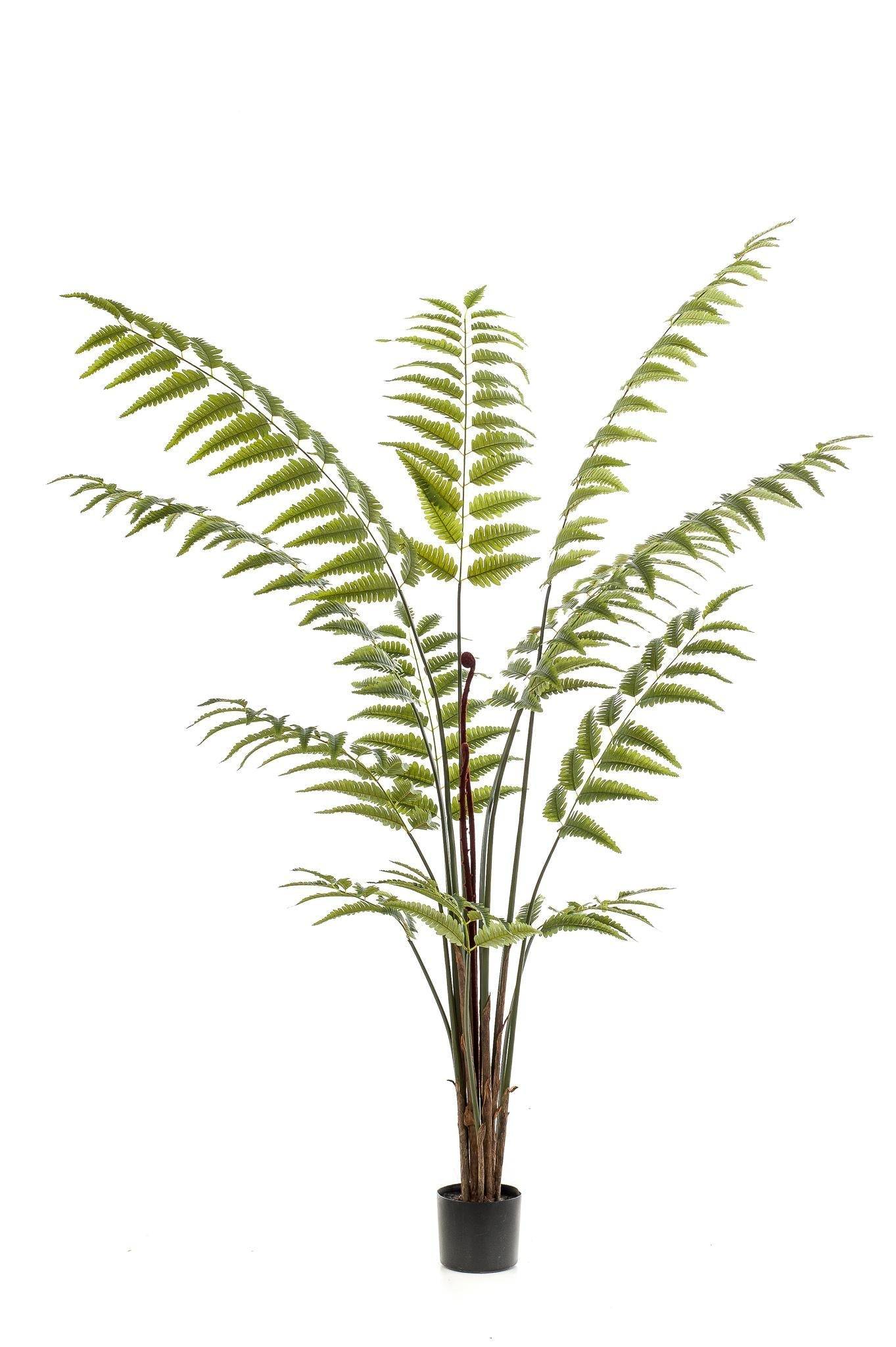 La Green Touch - Fougère plante artificielle - h180cm, Ø17cm- La Green Touch - Imagen 2