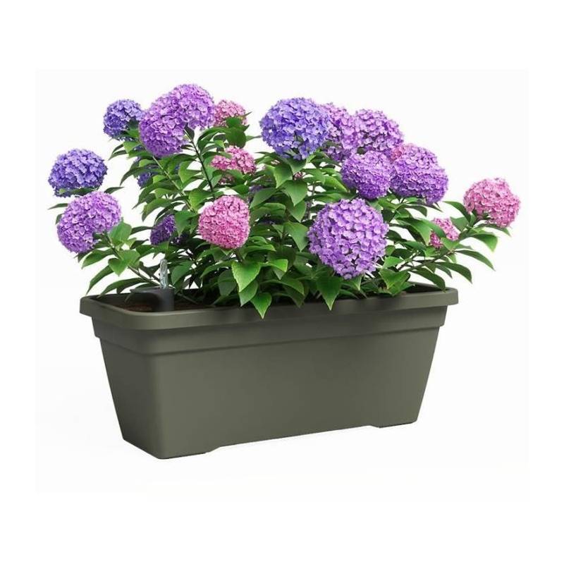 Artevasi - Jardiniere - Plastique - Vert Sec - Rectangulaire - L57,9 X P24,3 X H22cm - Artevasi - Imagen 2