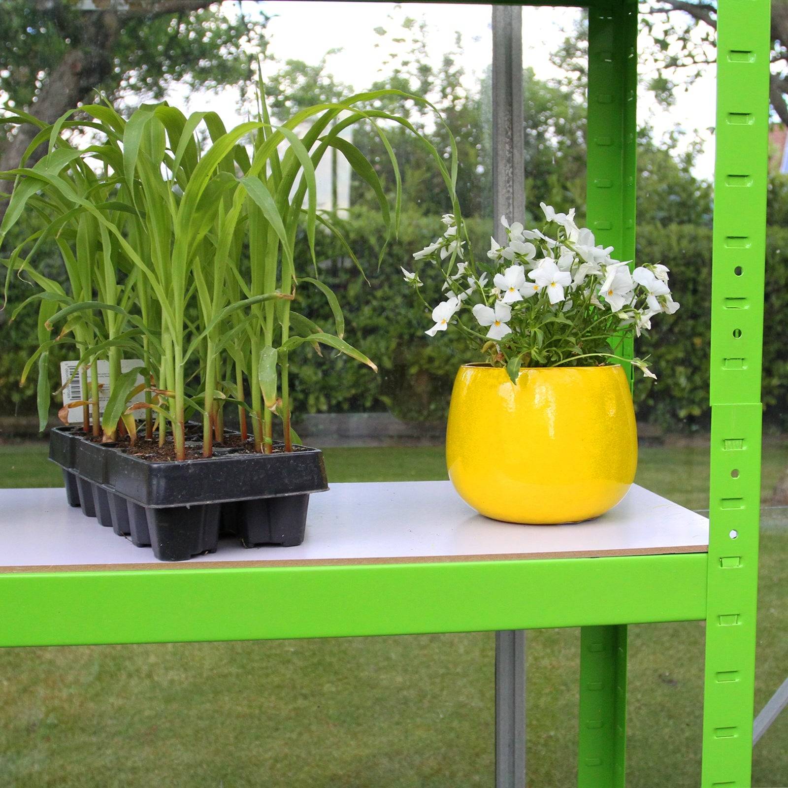 Monstershop - Serre Polytunnel 19mm 2.5m x 2m avec Étagères - Imagen 5