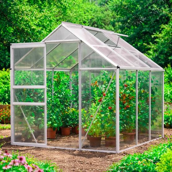 Serre de Jardin en Aluminium - 3,6 M² - Parois en polycarbonate - TERRE JARDIN - Image 7