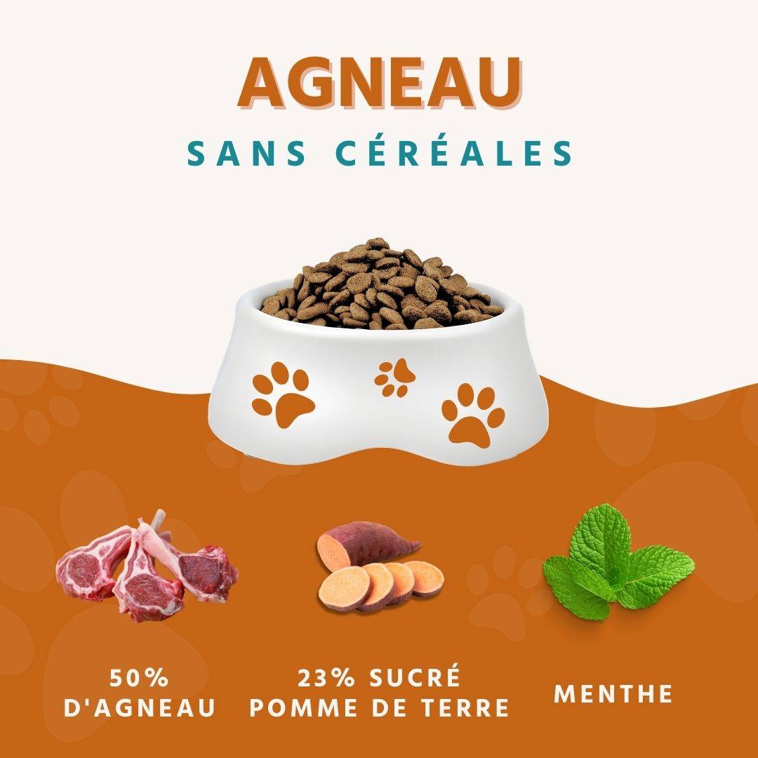 Wildfang - Wildfang Croquettes adultes à l'agneau - sans céréales - 2 kg - Image 2