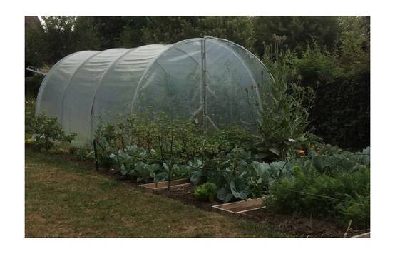 Serre tunnel de jardin - 31,5m² - 3 x 10,5 m - pieds arrondis - polyéthylène haute densité - 2 portes pivotantes - LES SERRES TONNEAU - Image 8