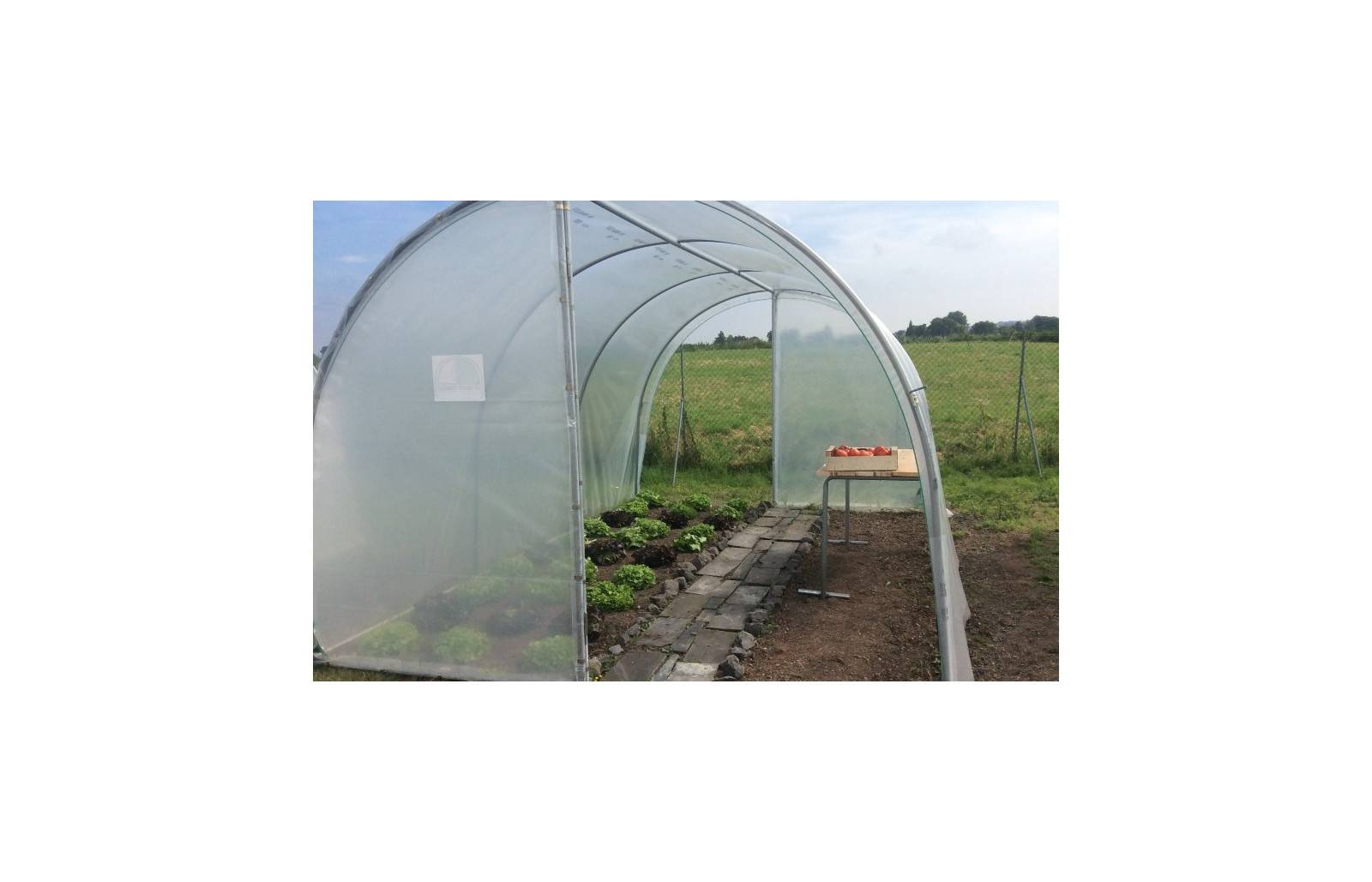 Serre tunnel de jardin - 31,5m² - 3 x 10,5 m - pieds arrondis - polyéthylène haute densité - 2 portes pivotantes - LES SERRES TONNEAU - Image 5
