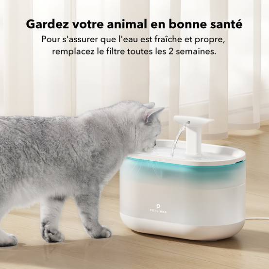 Petlibro Filtres de remplacement pour fontaine Capsule - Image 3