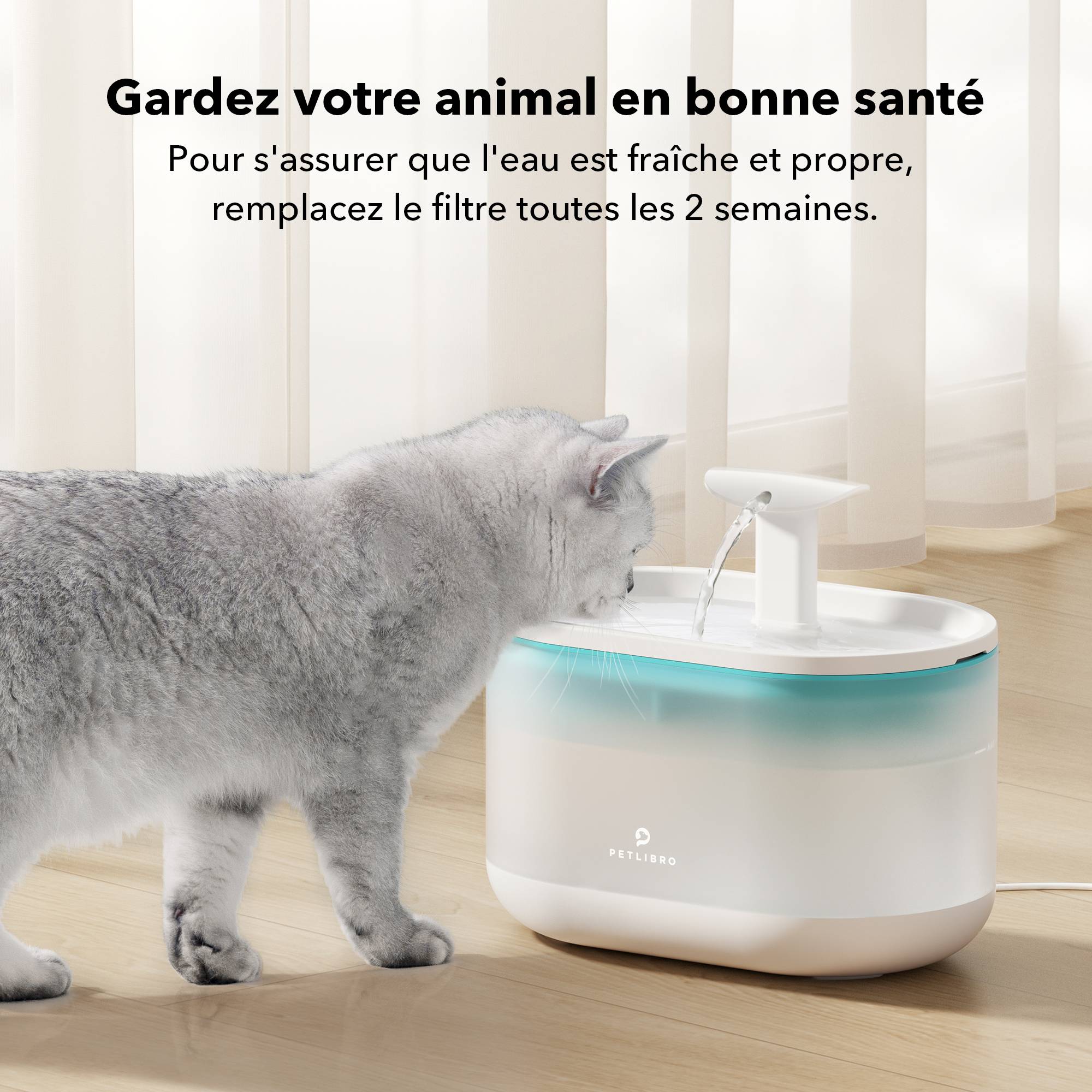 Petlibro Filtres de remplacement pour fontaine Capsule - Image 3