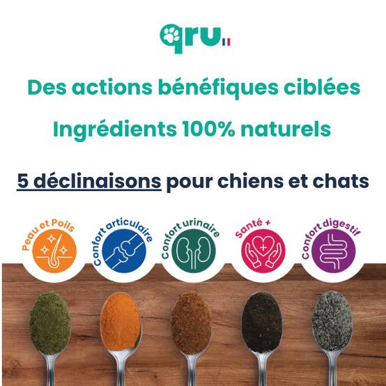 QRU - Complément alimentaire chat confort urinaire et insuffisance rénale - Image 2