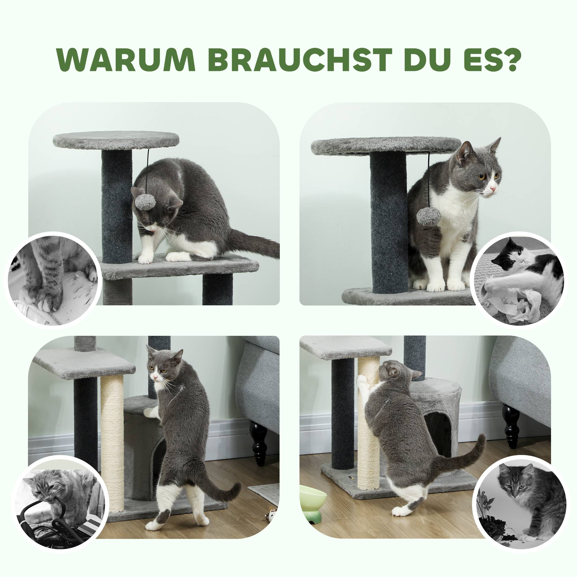 Arbre à chat sisal et peluches gris 45 x 40 x 103 cm - PANGIVO - Image 9