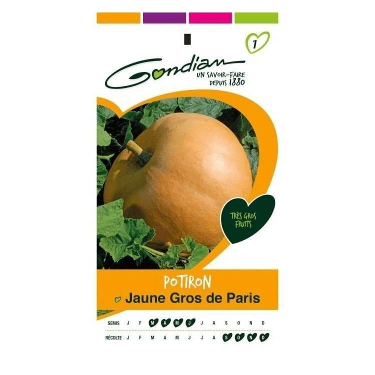 Gondian - Potiron Gros de Paris Jaune
