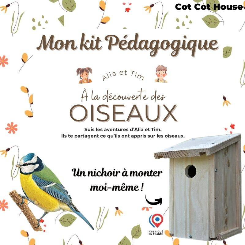 Kit pédagogique - oiseaux - Cot Cot House - Image 1