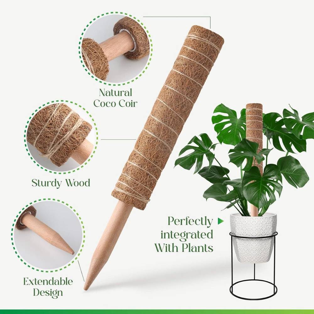 0 - Tuteur coco pour plantes grimpantes - 50cm - Fibre naturelle - Pour Monstera/Philodendron - Réutilisable - Image 4