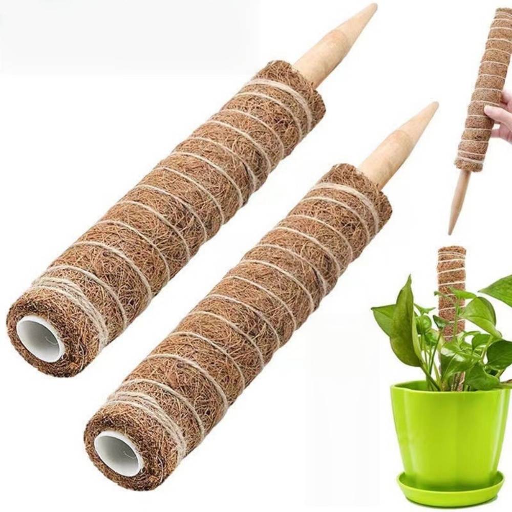 0 - Tuteur coco pour plantes grimpantes - 50cm - Fibre naturelle - Pour Monstera/Philodendron - Réutilisable - Image 5