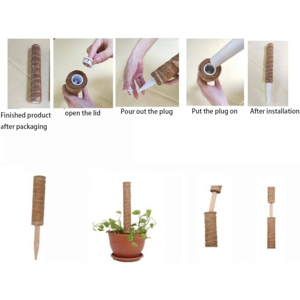 0 - Tuteur coco pour plantes grimpantes - 50cm - Fibre naturelle - Pour Monstera/Philodendron - Réutilisable - Image 3