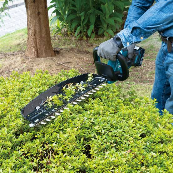 Taille-haie LXT MAKITA DUH506Z 18V 500mm (vendu sans batterie) Makita - Image 5