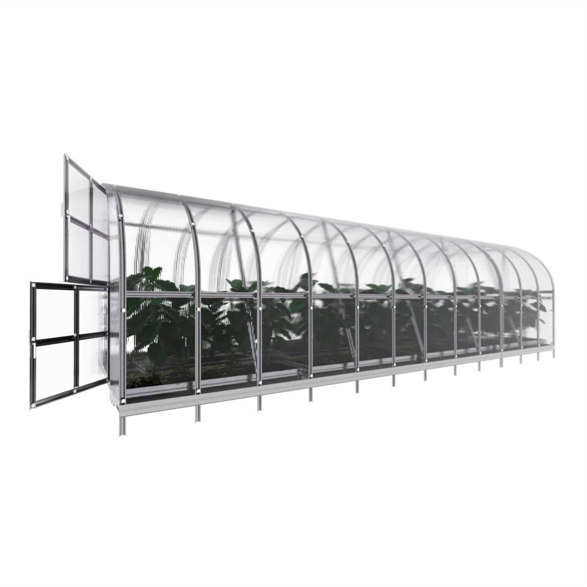 KLASIKA GREENHOUSES - Serre KLASIKA ARCH 3 x 10 m (30 m²), 4 mm avec revêtement en polycarbonate - Image 5