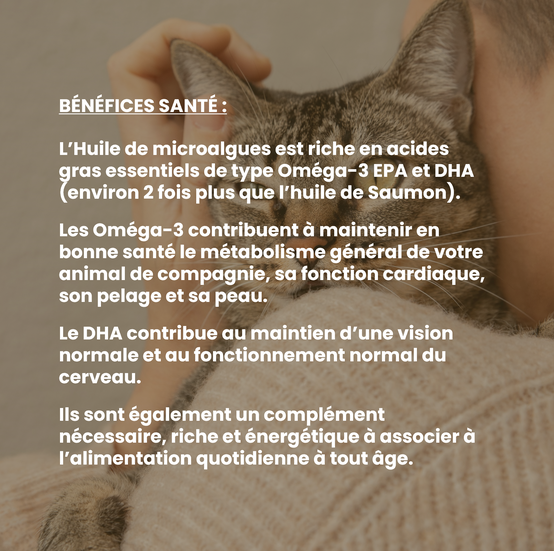 Complément alimentaire vétérinaire - Oméga 3 chat 50 mL - VetyVert - Image 4