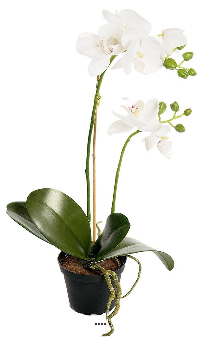 Artificielles - Orchidee artificielle 2 hampes en pot H 40 cm touché réel Blanc neige - couleur: Blanc neige - Imagen 1