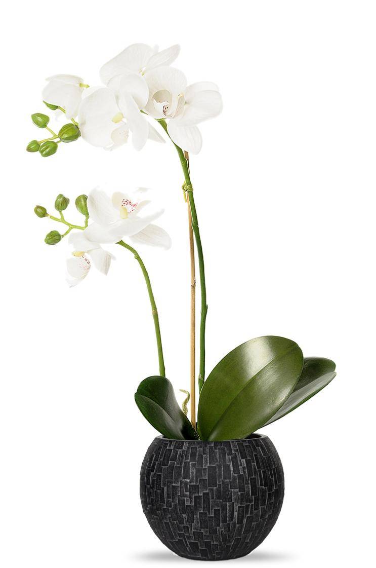 Artificielles - Orchidee artificielle 2 hampes en pot H 40 cm touché réel Blanc neige - couleur: Blanc neige - Imagen 2