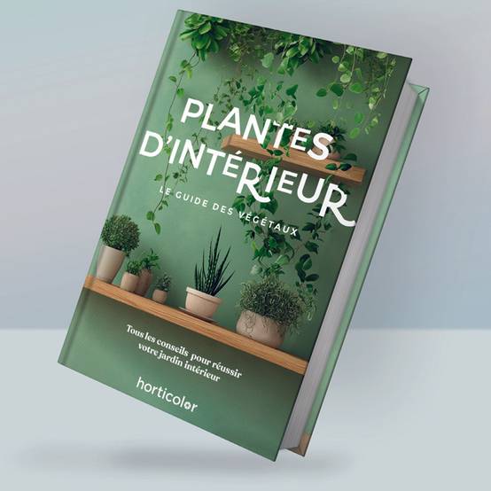Plantes d'Intérieur - Guide Horticolor