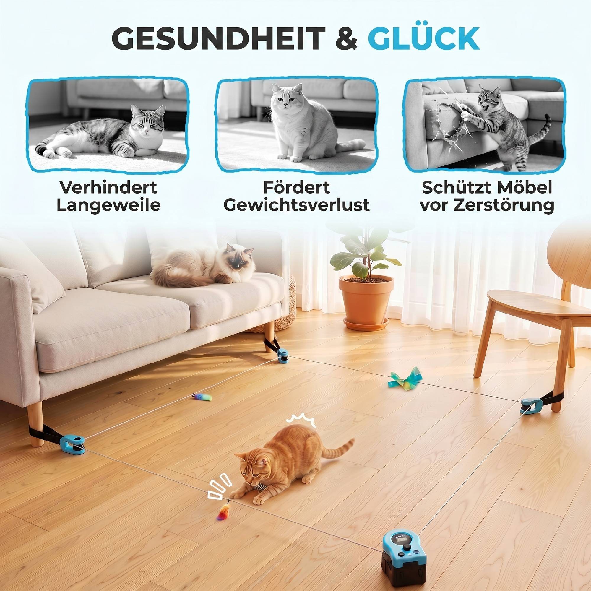 ComfortXL - Jouet interactif pour chat ABS noir télécommandé parcours réglable vitesse ajustable rechargeable USB-C - Image 7