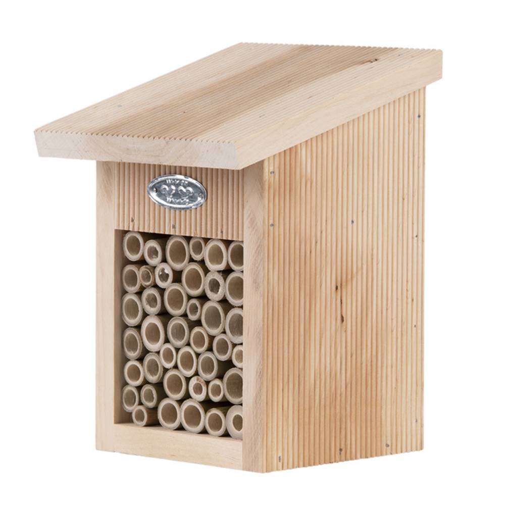 Abri pour abeilles, avec brosse de nettoyage inclus. - Image 4