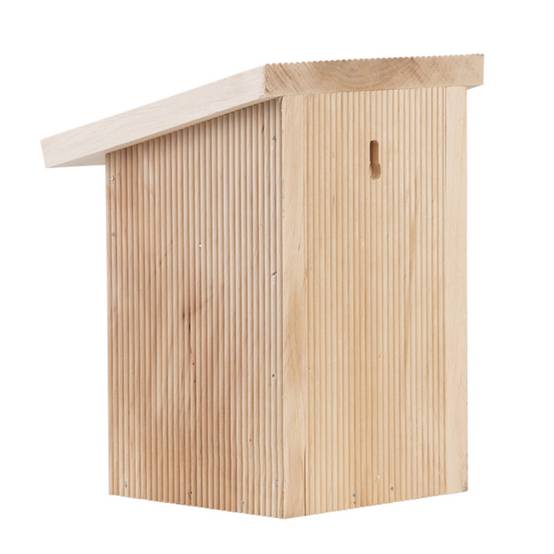 Abri pour abeilles, avec brosse de nettoyage inclus. - Image 9