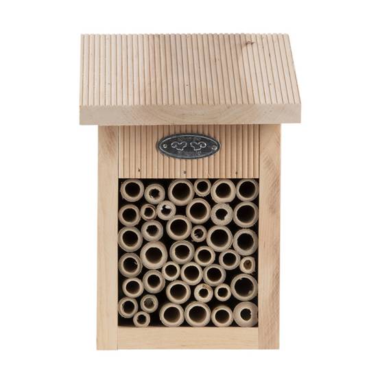 Abri pour abeilles, avec brosse de nettoyage inclus. - Image 2