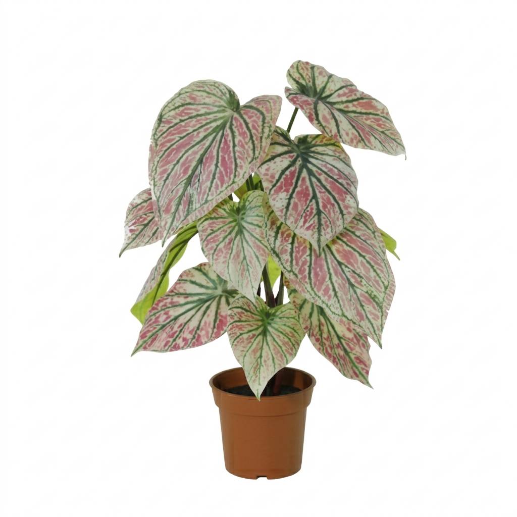PANGIVO - Caladium artificiel plastique vert rose 57 cm - PANGIVO
