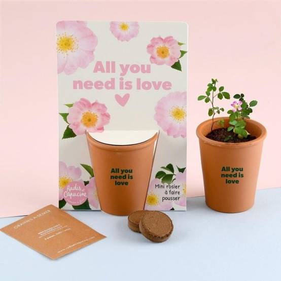 Radis et Capucine - Radis et Capucine - Carte message - All you need is love - Rosier - Image 3