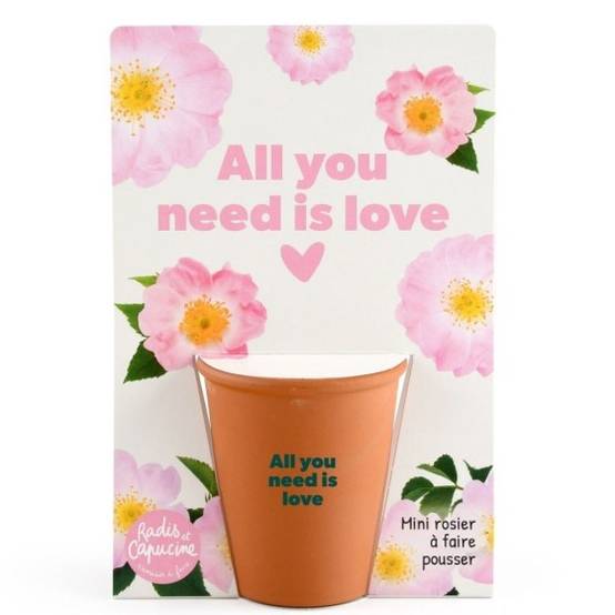 Radis et Capucine - Radis et Capucine - Carte message - All you need is love - Rosier - Image 2