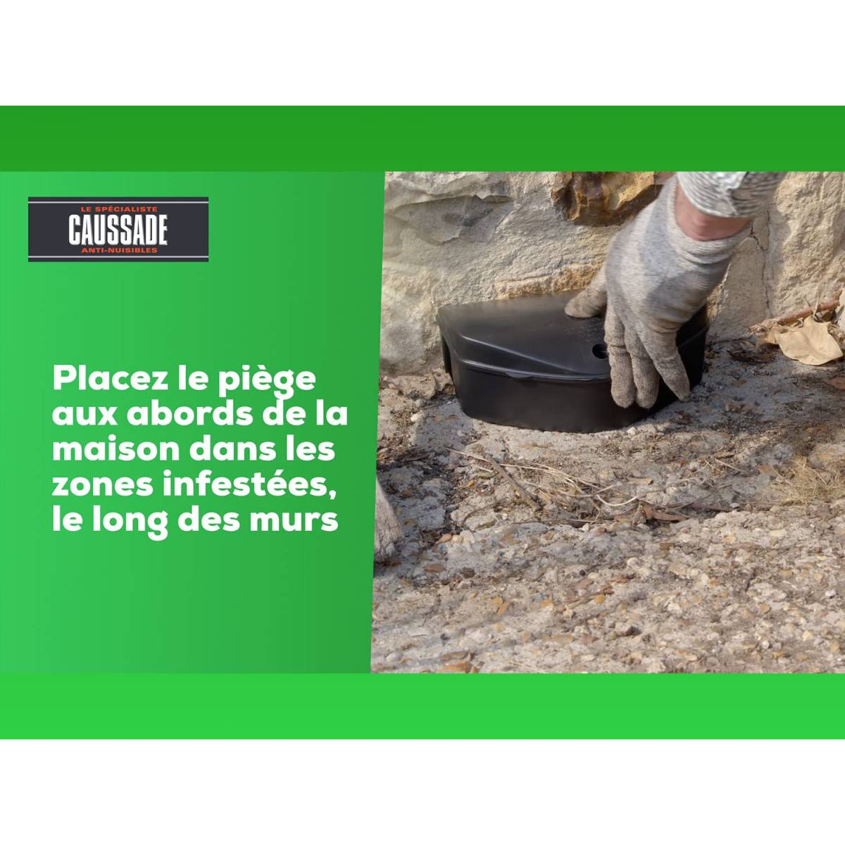 Multitanks - Lot de 4 Raticide Canadien Caussade - 1200 g, 48 blocs - Flocoumafène - Image 6
