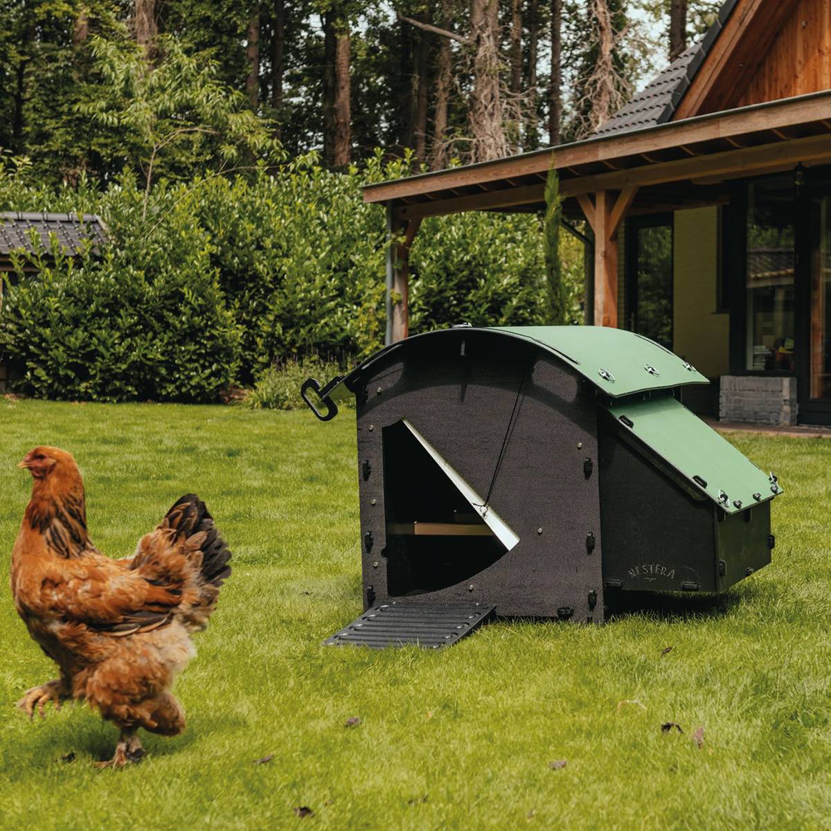 Poulailler au sol Nestera The House – 5 poules – plastique recyclé facile à nettoyer – garanti 25 ans