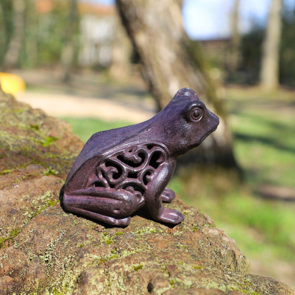 Grenouille en fonte marron 13 x 11 cm Chemin de campagne - Imagen 3