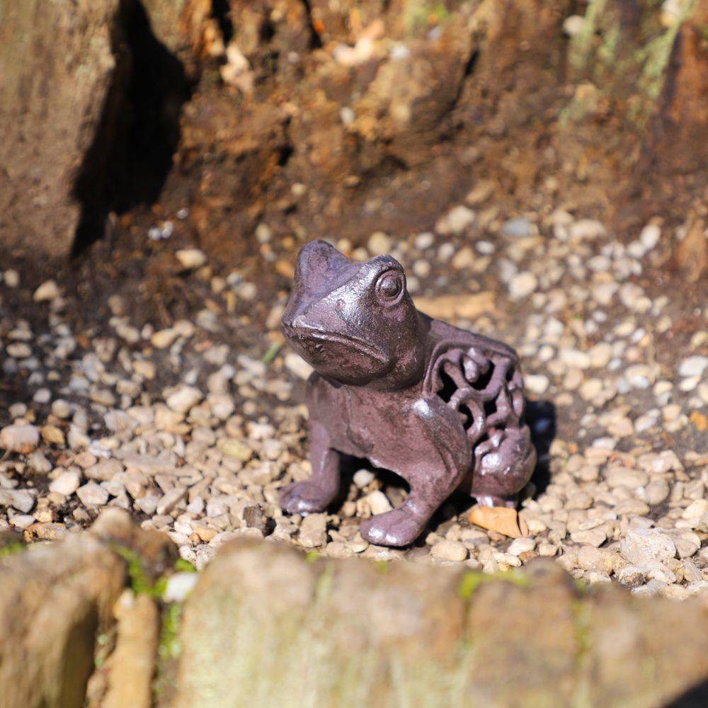 Grenouille en fonte marron 13 x 11 cm Chemin de campagne - Imagen 2