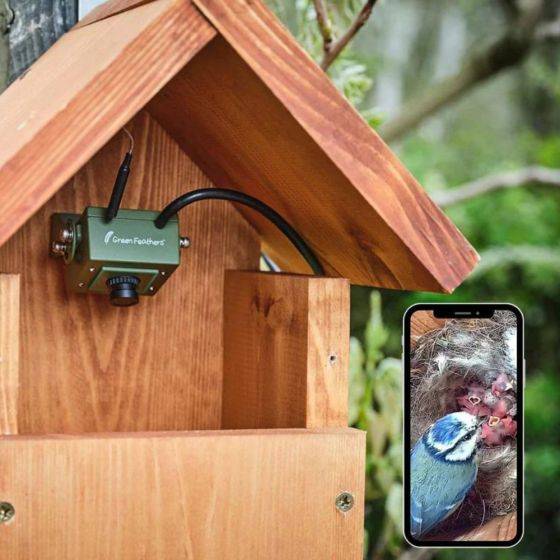 Green Feathers - Caméra wifi pour Nichoir à oiseaux (avec cable 10 m inclus) - Imagen 10
