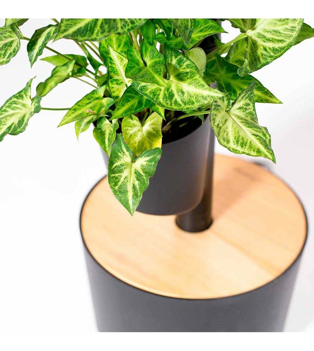 Jardinière verticale CitySens noire avec 3 pots et arrosage automatique digital - Image 3